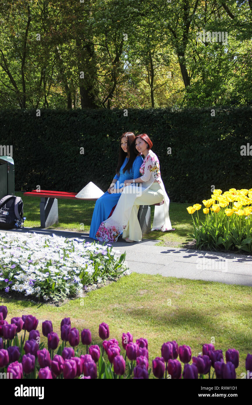 Due belle giovani donne asiatiche vestono costumi tradizionali sedersi sul banco in primavera in Keukenhof Flower Garden. Tulipani viola close up Foto Stock