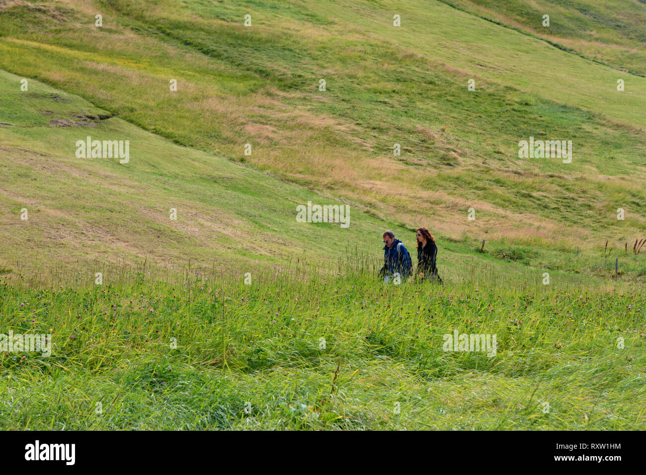 Livigno / Italia - Agosto 19, 2016: una bella scena con due persone a piedi attraverso il prato verde su un pendio di montagna Foto Stock