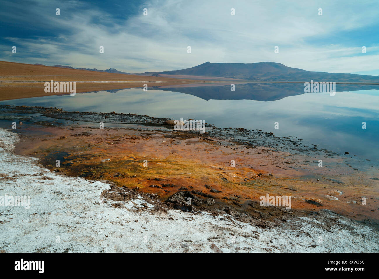 Volcanic Hot Springs line questo lago sull'Altiplano nel deserto di Atacama, Cile,vicino alla frontiera con l Argentina. 13.000 ft elevazione, Sud America Foto Stock