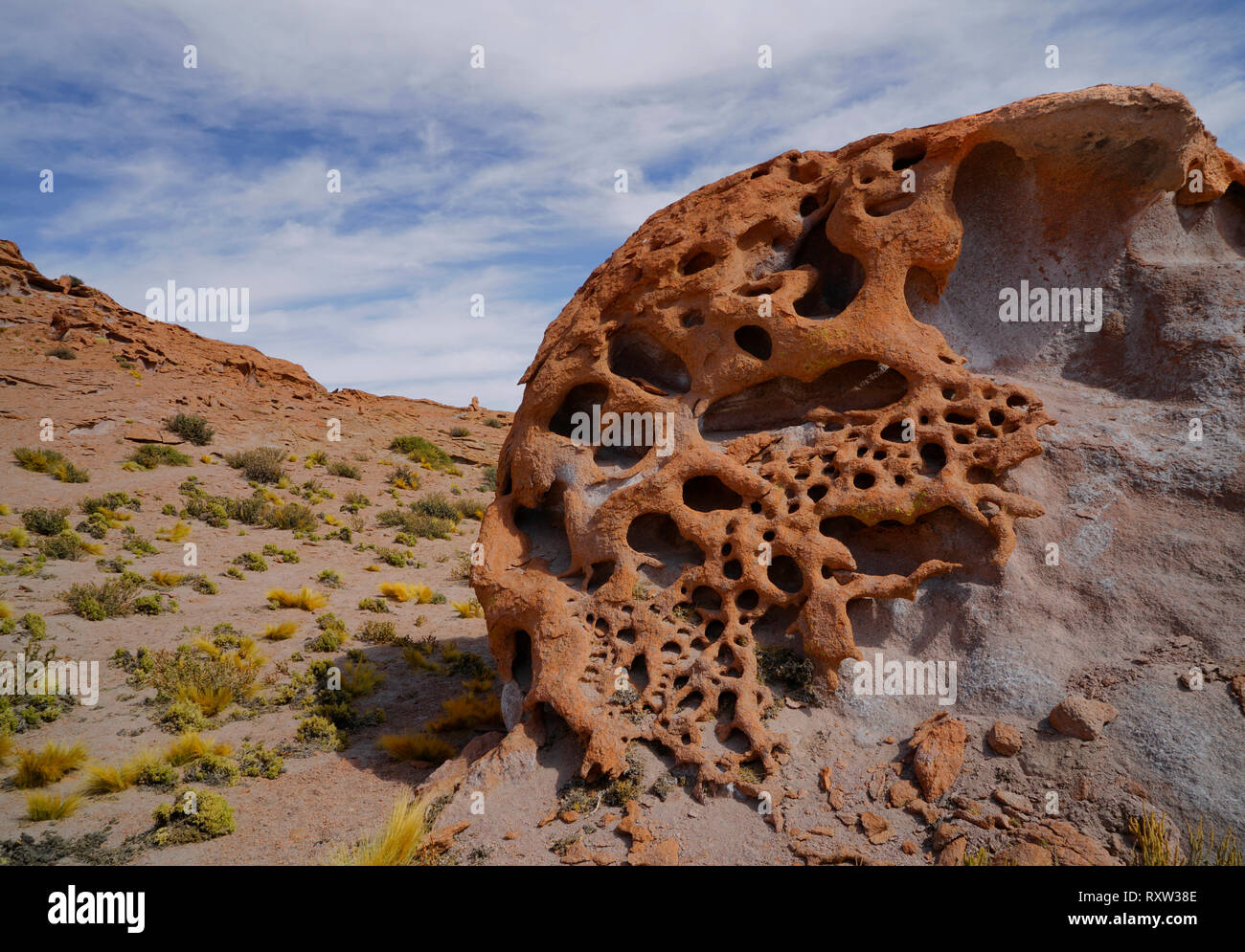Erosione ha rimosso un soffice strato di roccia sotto lo strato di superficie,creazione molto inusuali formazioni rocciose sull'Altiplano nel deserto di Atacama nel Cile,vicino alla frontiera con l'Argentina e America del Sud Foto Stock