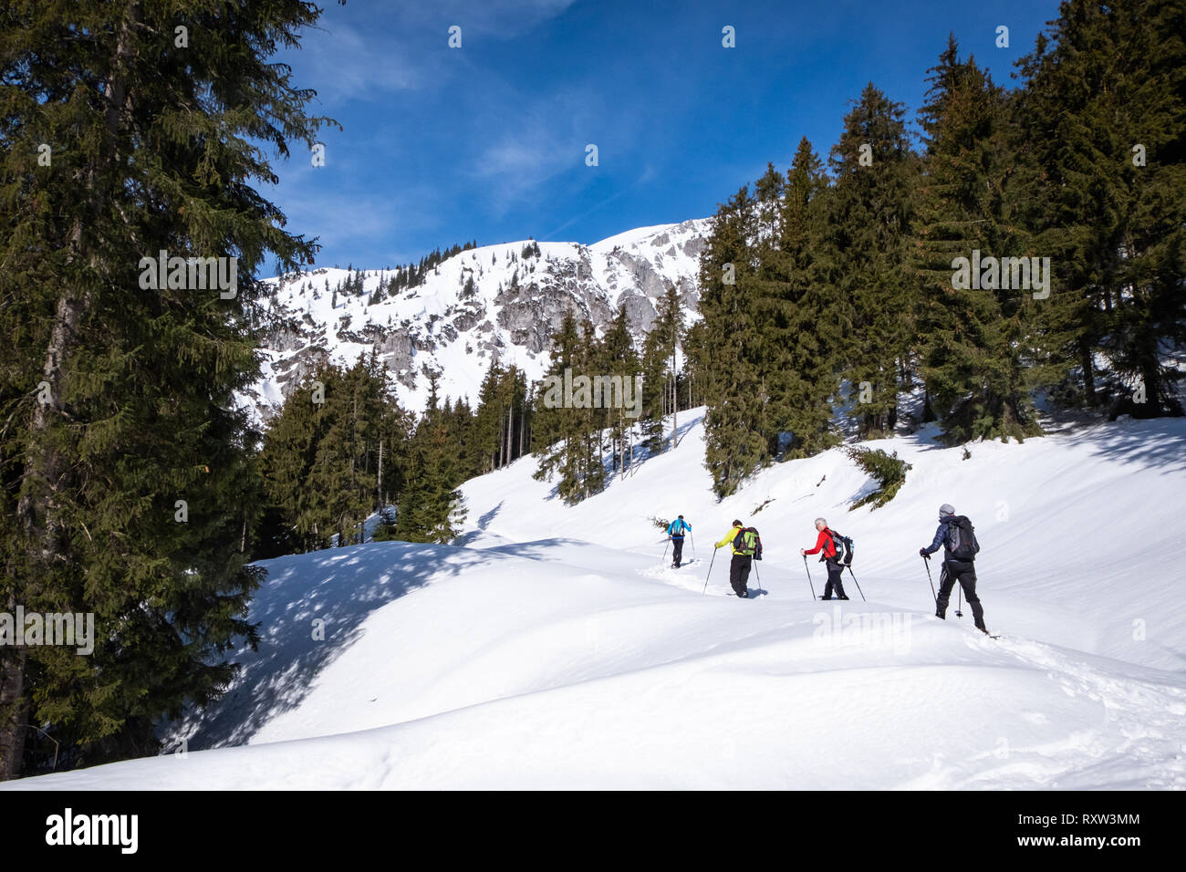 Gruppo di adulti con le racchette da neve thruogh una foresta sul altopiano innevato Kaiserau con Kreuzkogel di montagna su un soleggiato winterday in Stiria, Austria Foto Stock