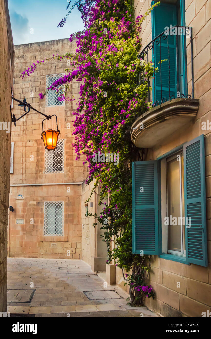 Mdina, Malta: tradizionale casa Maltese artistici con balcone e finestre, coperto con luminosi fiori viola sulla parete di roccia calcarea e luci a lanterna Foto Stock