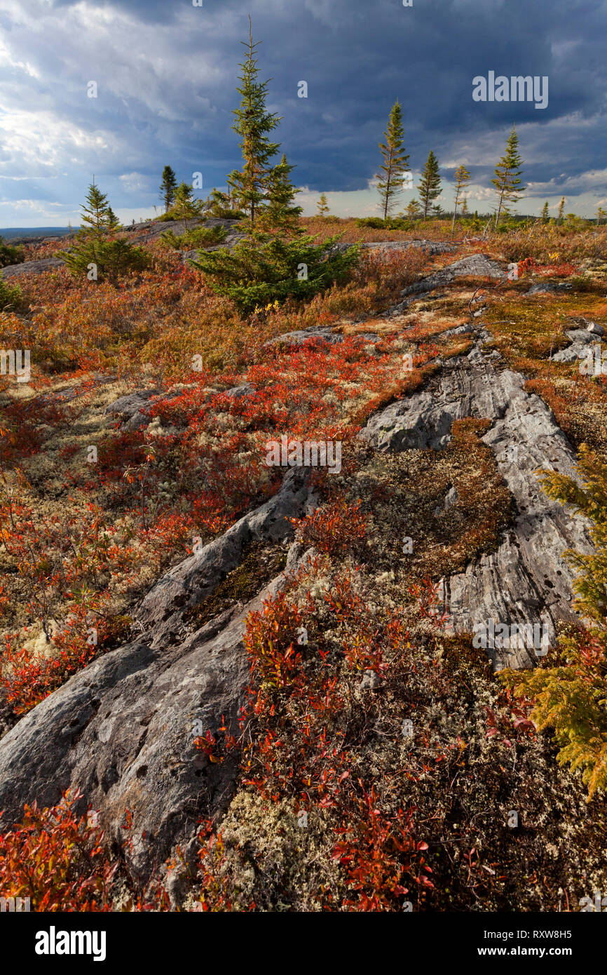 Paesaggio autunnale lungo la Baia di James autostrada verso Radisson nel nord del Québec dove il grande James Bay Hydro Quebec progetto è situato a Quebec, Canada Foto Stock