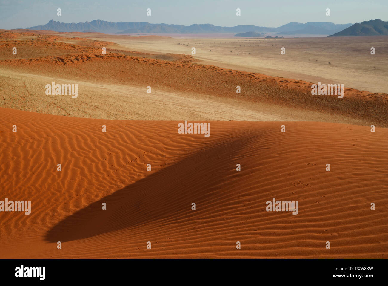 Il paesaggio stratificata del Namib Rand riserva al Wolwedans Dune Lodge. La comparsa stratificata risultati da longitudinali di dune rosse e miscelati longheroni vegetazione erbosa. Questa immagine è stata scattata alla fine della stagione secca. Western Namibia,Africa Foto Stock