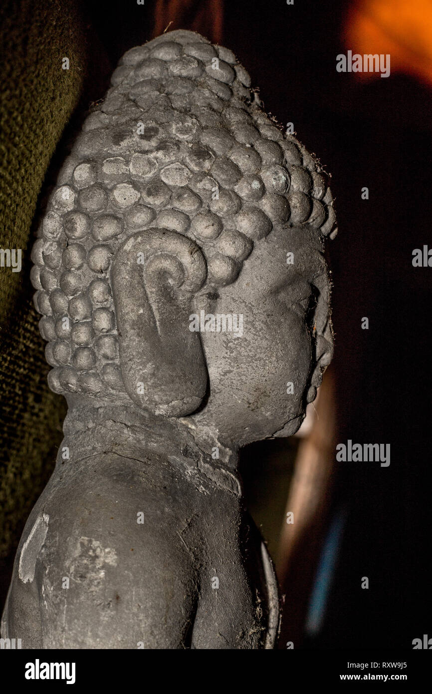 Calcestruzzo testa di Buddha Foto Stock