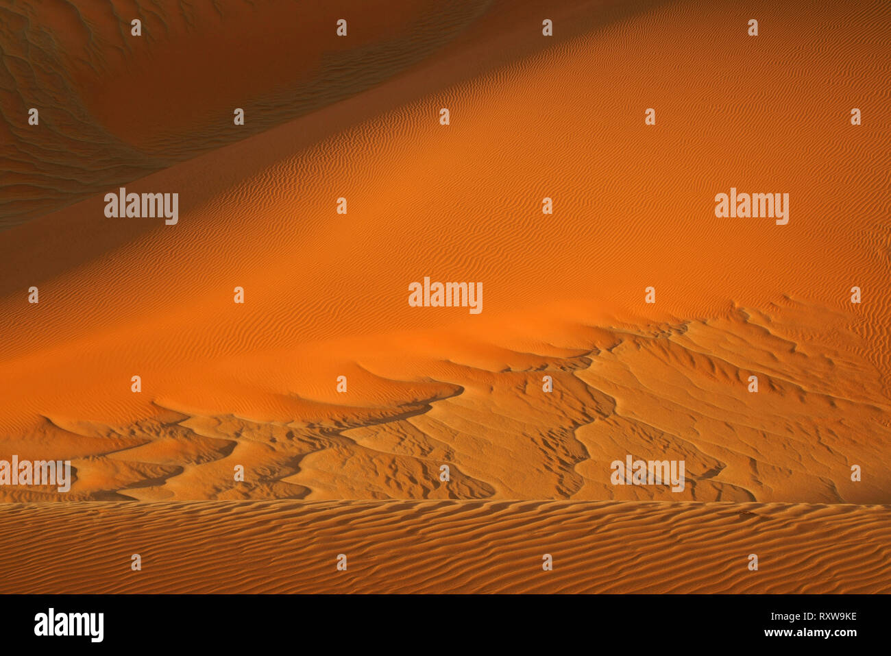 Dettaglio dei magnifici paesaggi di dune a Sossusvlei Parco Nazionale. Western Namibia,vicino alla città di Sesriem,Africa. Foto Stock