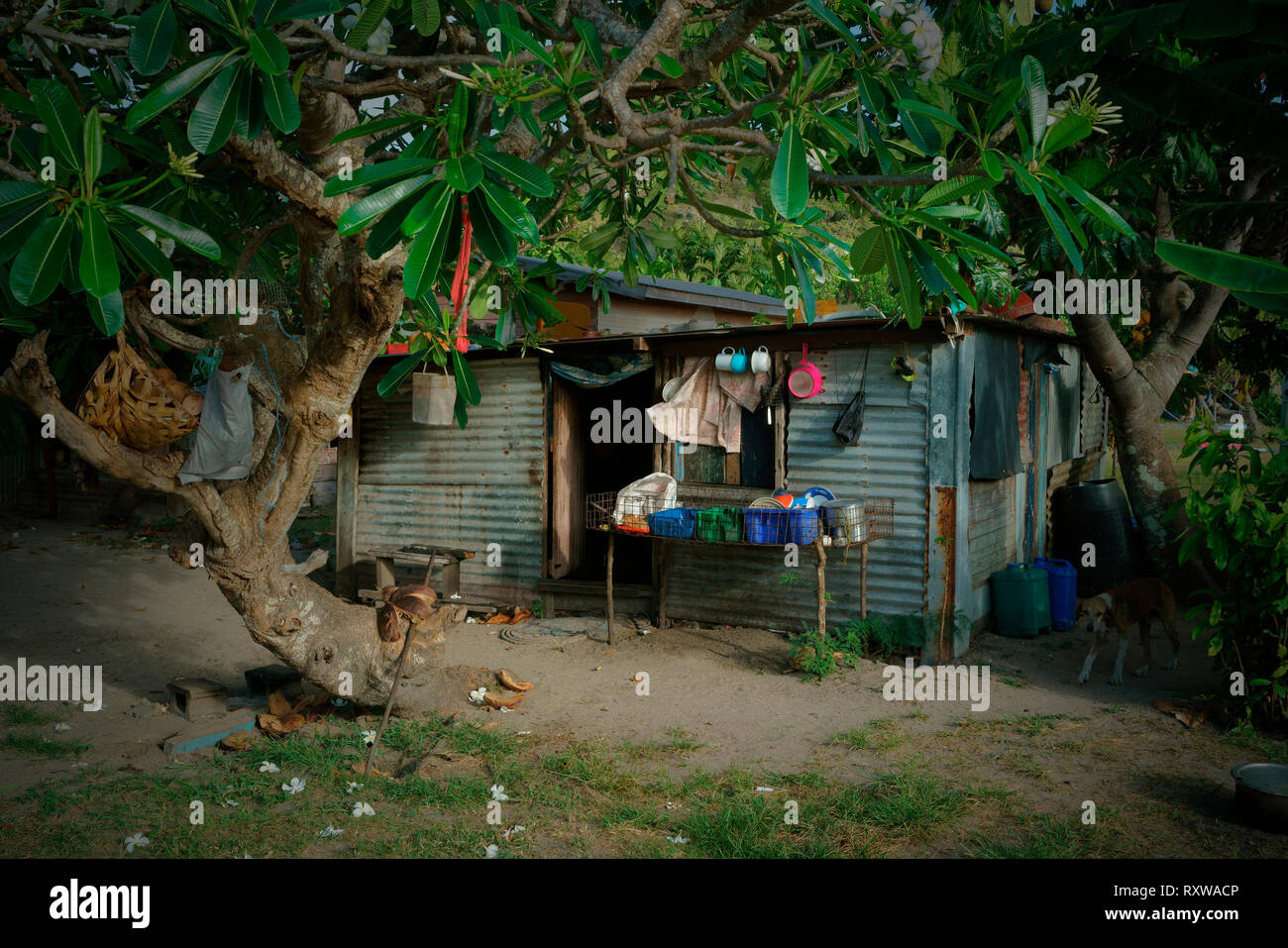 Cucina esterna di un villaggio che dimora in Navotua,Isole Fiji,Sud Pacifico Foto Stock