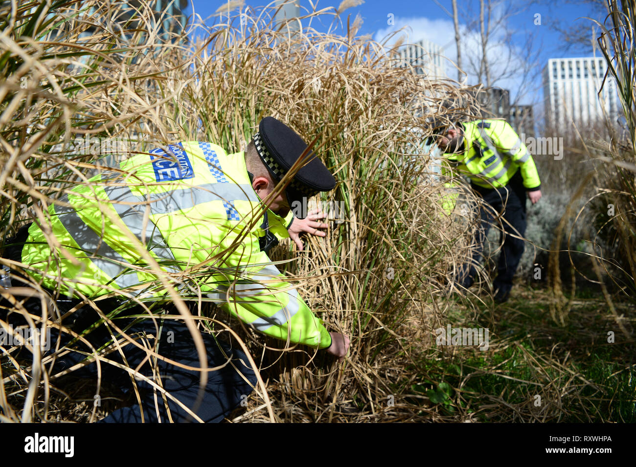 Ufficiali della Polizia Metropolitana di ricerca di armi in giardini Cornmill a Lewisham, Londra Sud, come parte dell'operazione scettro, che vedrà le forze in Inghilterra e Galles con scomparti di riscatto, arrestare-e-ricerca armi e spazia in una repressione concordate sul coltello la criminalità. Foto Stock