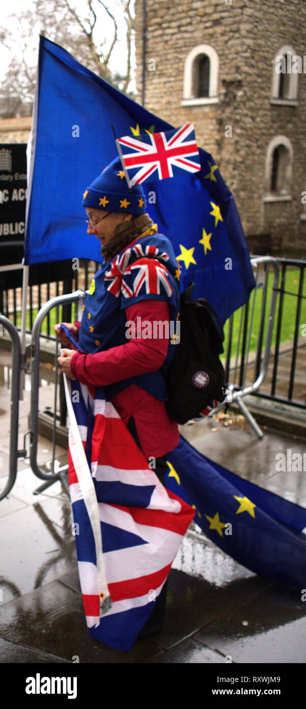 Rimanere' diruttori fuori le case del Parlamento dove ha mantenuto una veglia da 2017-2019 chiamando per la Gran Bretagna per andare per 'n' Brexit dall UE. Foto Stock