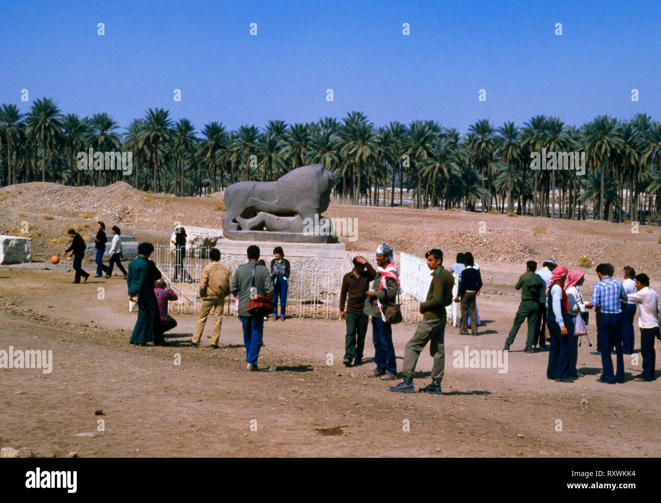 Leone di Babilonia, 90km SW di Baghdad, Iraq, Marzo 1983 durante la Guerra Iran-Iraq: lungo 2 m, nero basalto, scolpito nel regno di Nebuchandnezzar II, 605-562BC. Foto Stock