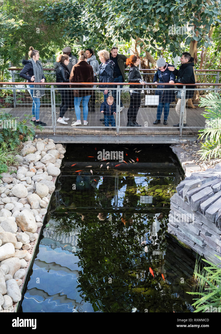 Un folto gruppo di persone su una passerella con un bambino guardando goldfish nello stagno di seguito. Foto Stock