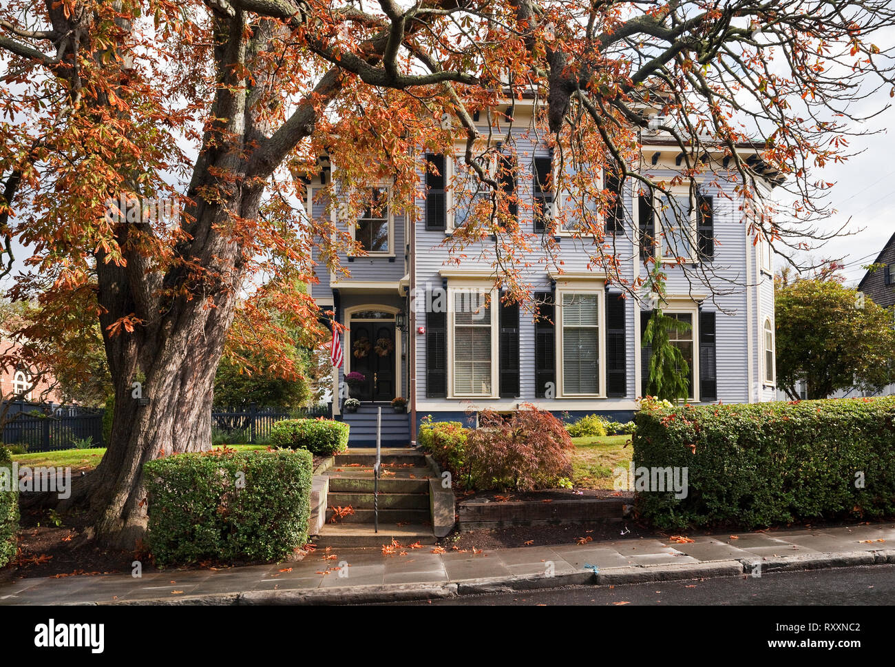 In stile rinascimentale con James B. Finch House dietro ad un albero in caduta delle foglie sul Touro St a Newport, Rhode Island, STATI UNITI D'AMERICA Foto Stock