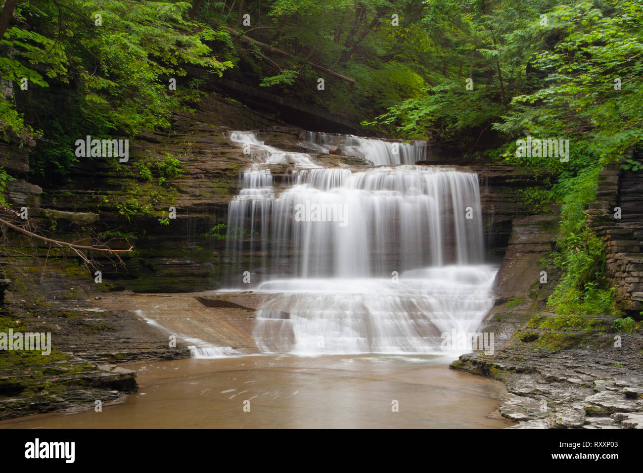 Latticello Falls State Park, Ithaca, New York Foto Stock