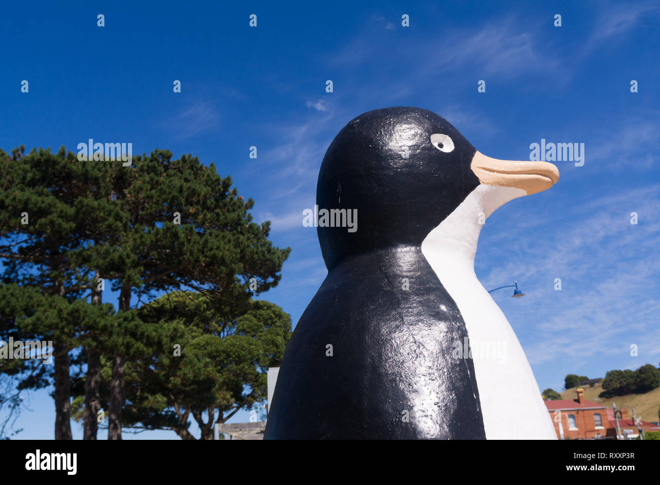 Il grande pinguino nella città di pinguino, Tasmania Foto Stock