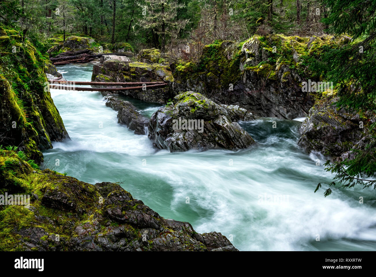 Little Qualicum Falls Provincial Park, Parksville, Isola di Vancouver, BC, Canada Foto Stock