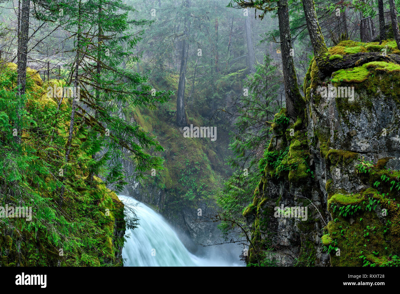 Little Qualicum Falls Provincial Park, Parksville, Isola di Vancouver, BC, Canada Foto Stock