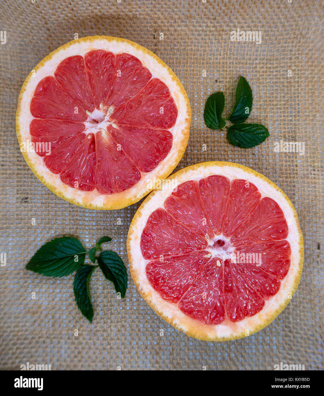 Fresh cut calce agrumi Foto Stock