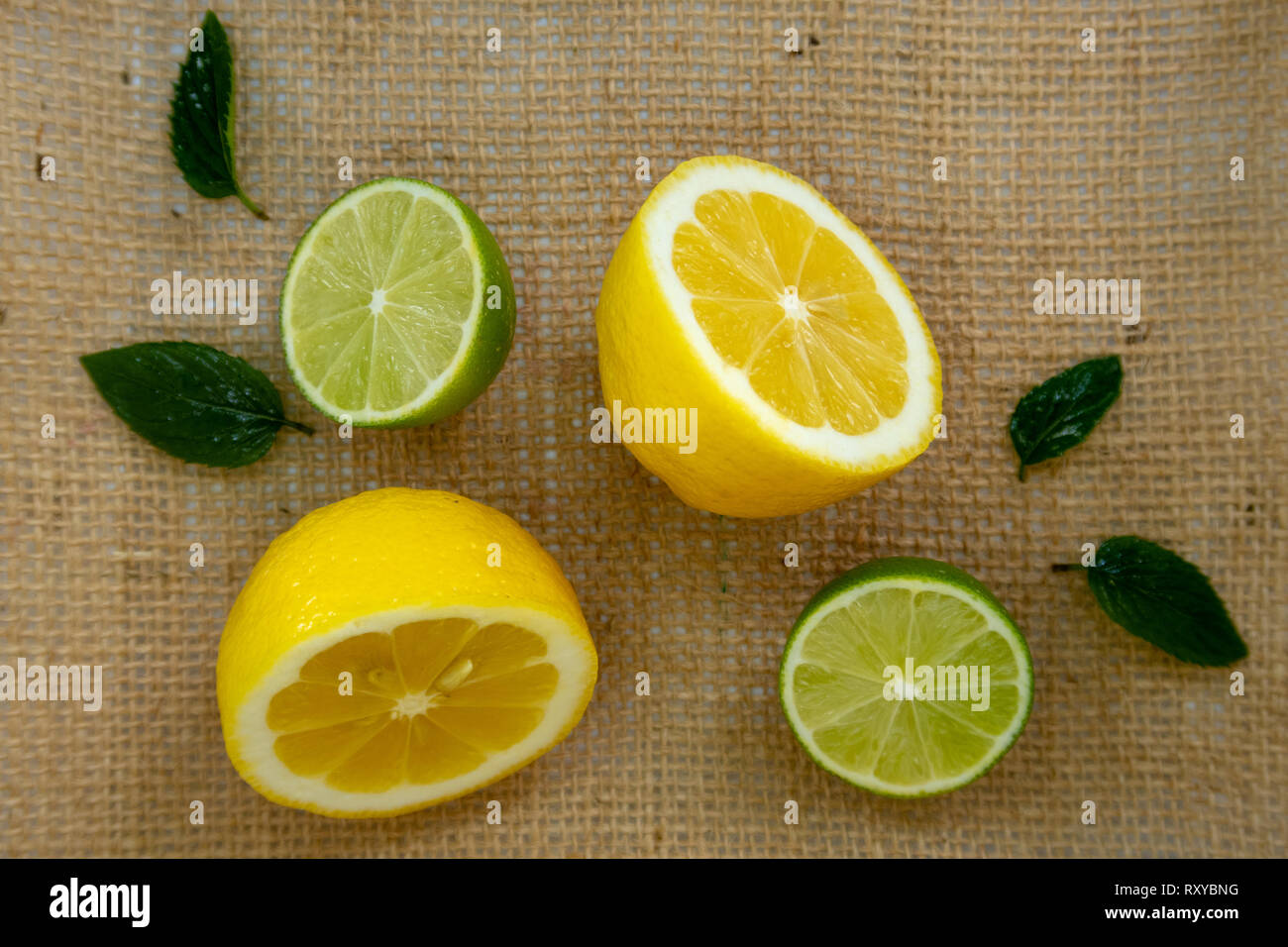 Appena tagliato il limone e la calce e agrumi Foto Stock