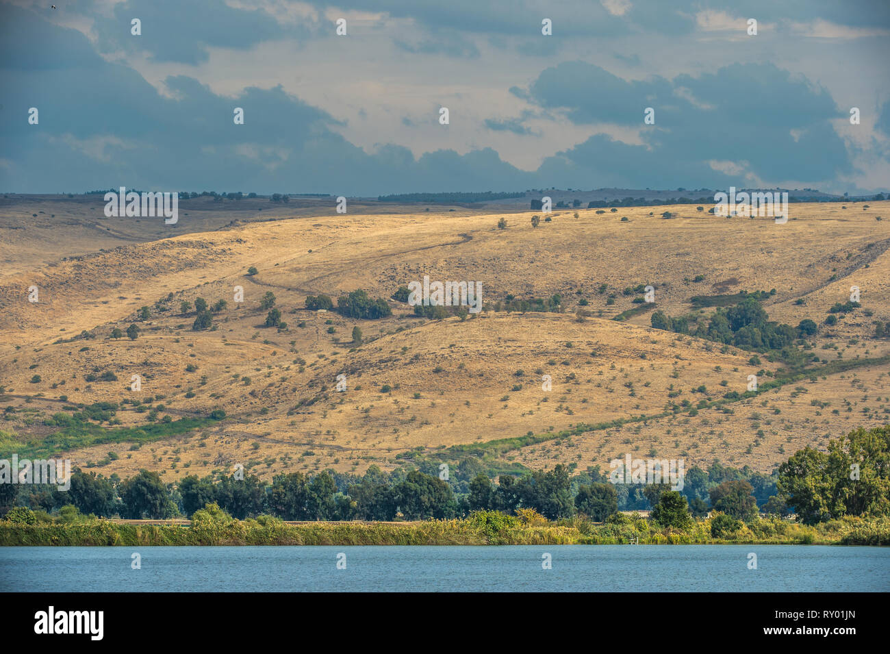 Alture del Golan. Vista delle alture del Golan dalla Valle di Hula, Israele. Foto Stock