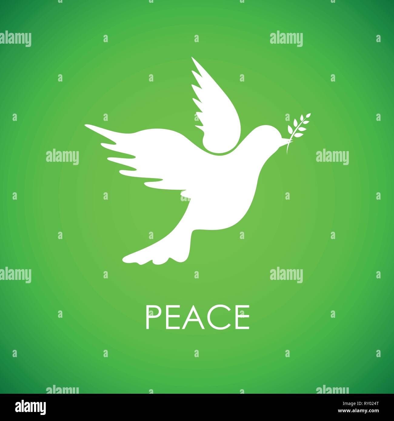 Bianco colomba della pace su sfondo verde illustrazione vettoriale EPS10 Illustrazione Vettoriale