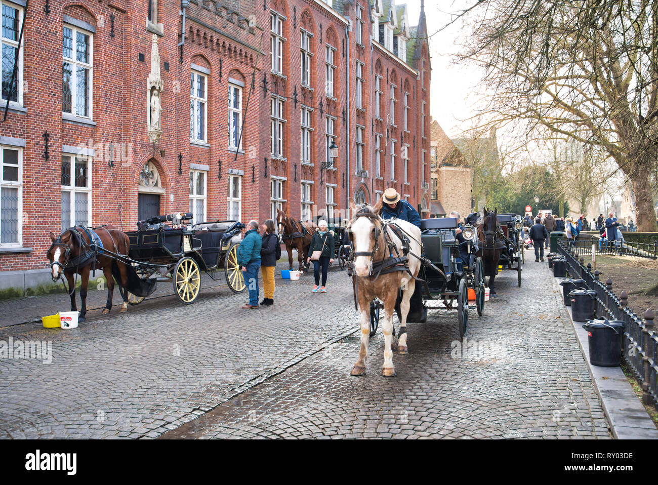BRUGES, Belgio - 17 febbraio 2019: strada turistica della città con i cavalli per equitazione in un carrello Foto Stock