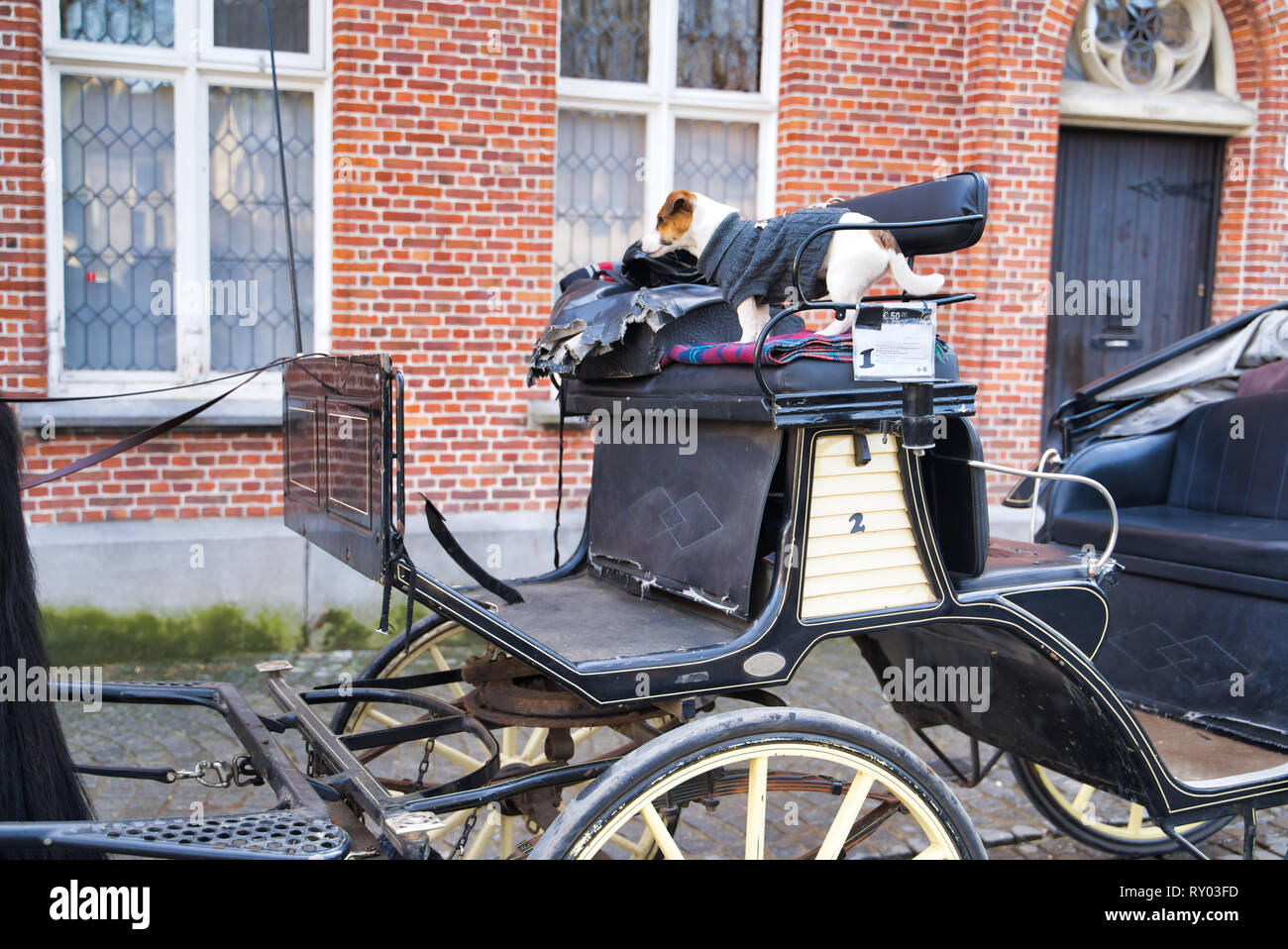 BRUGES, Belgio - 17 febbraio 2019: carrozza con un cane sul sedile Foto Stock