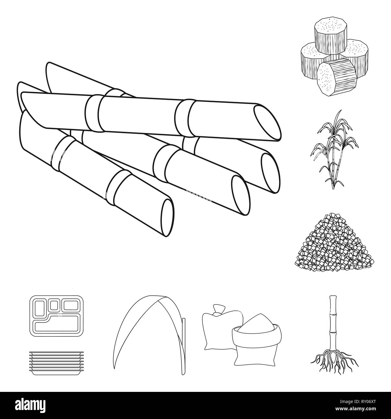 Stick,pezzo,bush,cartone,foglie,bag,root,succhi di frutta,cube,palm,granulata,contenitore,verde,sabbia,sistema,harvest,l'india,pilastro,blocco,pack,carboidrato,procedimento,levetta,l'africa,storage,eco,il diabete,sviluppo,zucchero,campo,impianto,plantation,agriturismo,l'agricoltura,saccarosio,technology,la canna da zucchero, la canna da zucchero,impostare,vettore,icona,immagine,isolato,raccolta,design,l'elemento,graphic,segno,contorno,linea vettori vettore , Illustrazione Vettoriale