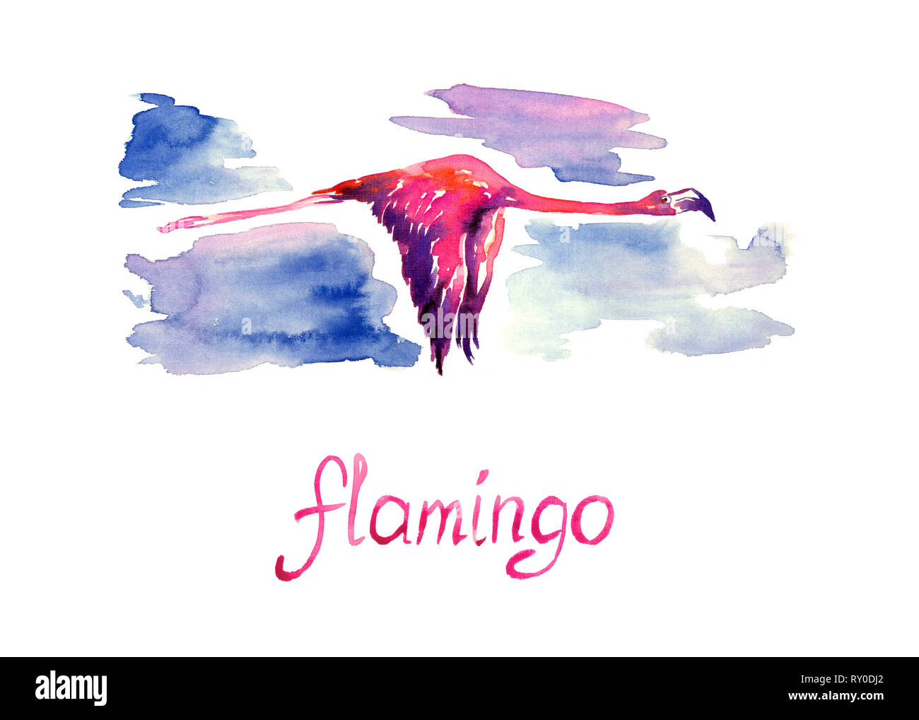 Fenicottero rosa battenti, sfondo cielo, isolato dipinte a mano illustrazione ad acquerello con iscrizione manoscritta Foto Stock