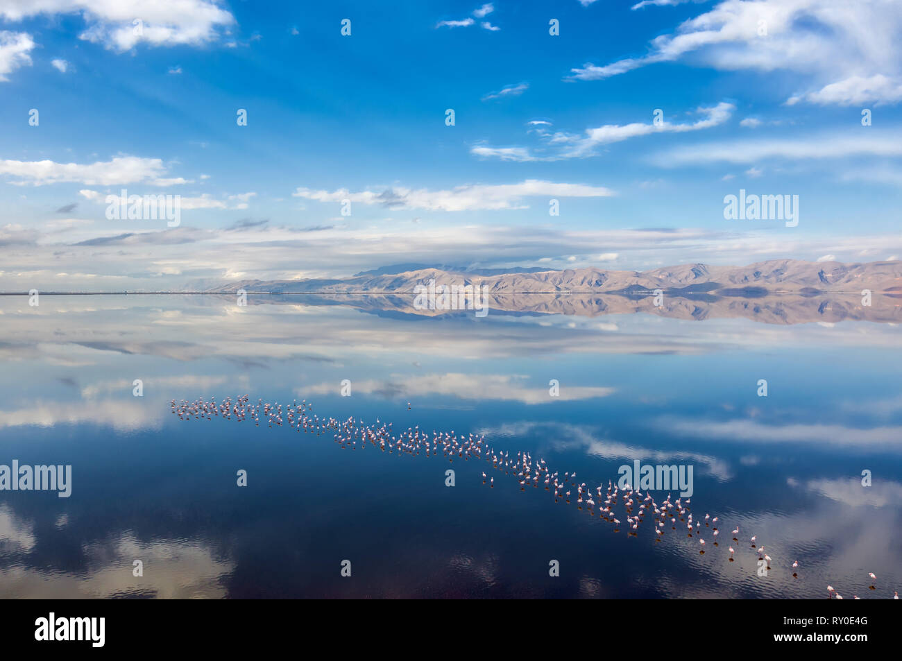 Rosa Maharlu lago vicino a Shiraz in Iran, prendere nel gennaio 2019 prese in hdr Foto Stock