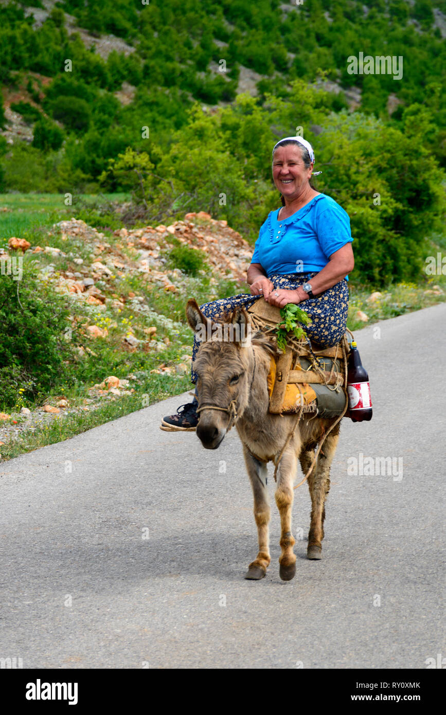 Donna su asino, Prespa National Park, Albania Foto Stock