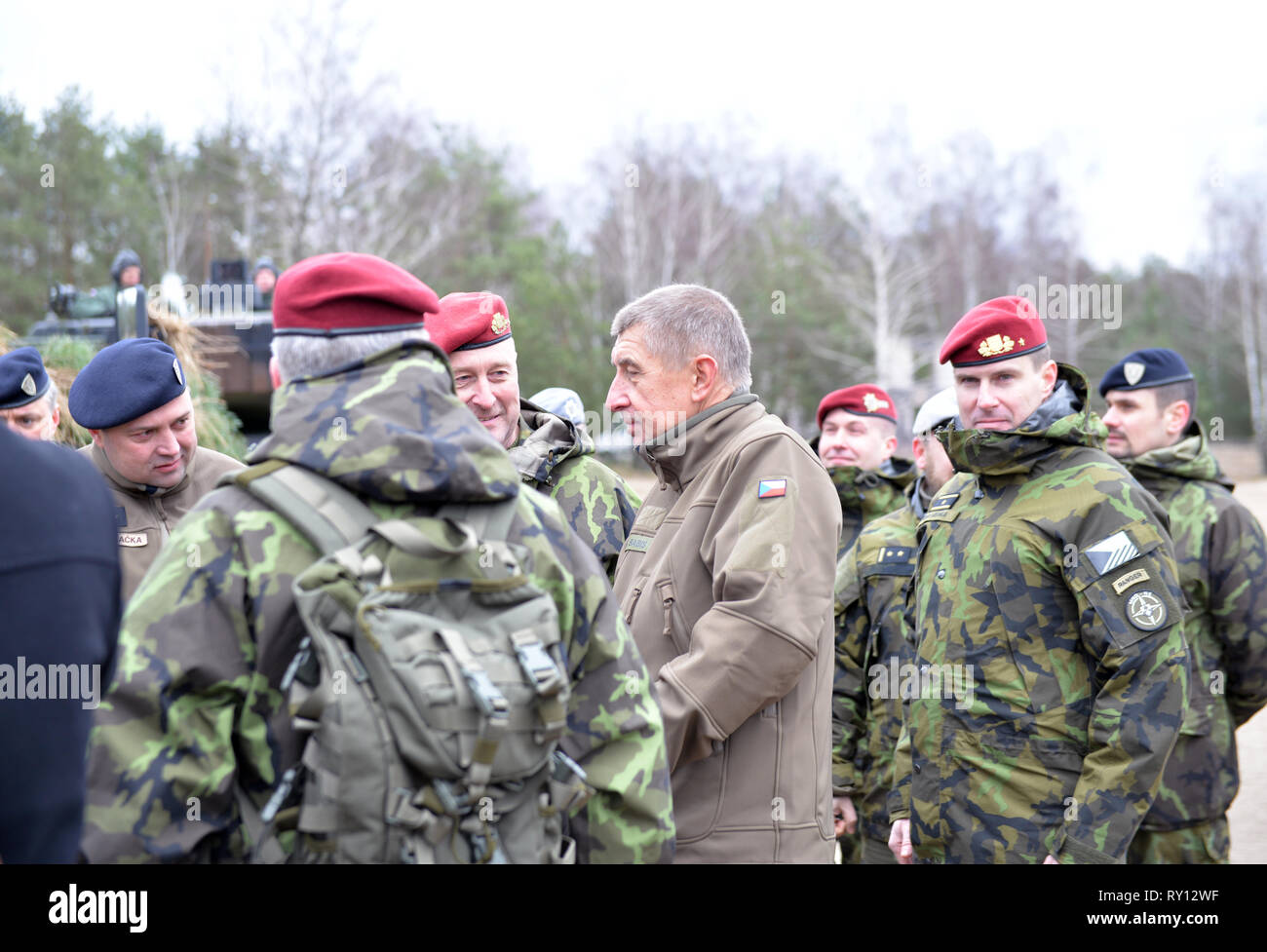 La Repubblica ceca comprende la NATO come un impegno attivo di responsabilità condivisa per altri paesi, primo ministro ceco Andrej Babis detto in apertura delle celebrazioni della voce della NATO venti anni fa oggi, lunedì, 10 marzo 2019. La Repubblica ceca, in Polonia e in Ungheria è entrato nato il 12 marzo 1999. Seguiti dalla Slovacchia nel 2004. L'Alleanza dovrebbe essere in grado di sfidare le nuove sfide come la sicurezza informatica o campagne di disinformazione, Babis detto. "Ci sono le idee che alcune nuove agenzie dell'UE per la lotta contro queste minacce dovrebbe essere fondata. Credo che la NATO è di de Foto Stock