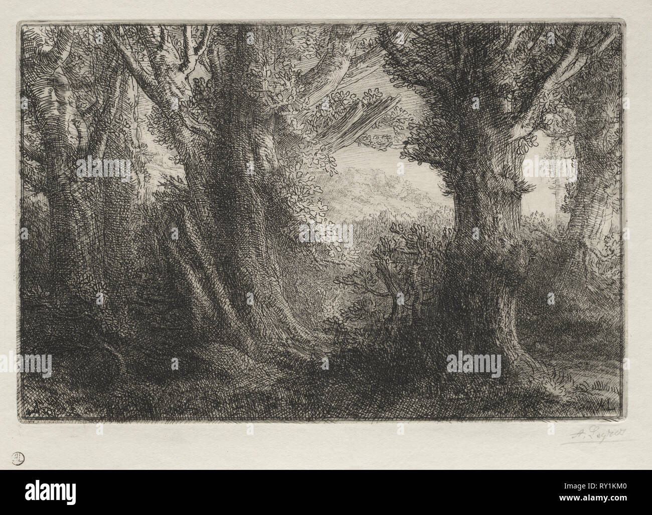 Nella foresta a Conteville. Alphonse Legros (Francese, 1837-1911). Attacco Foto Stock