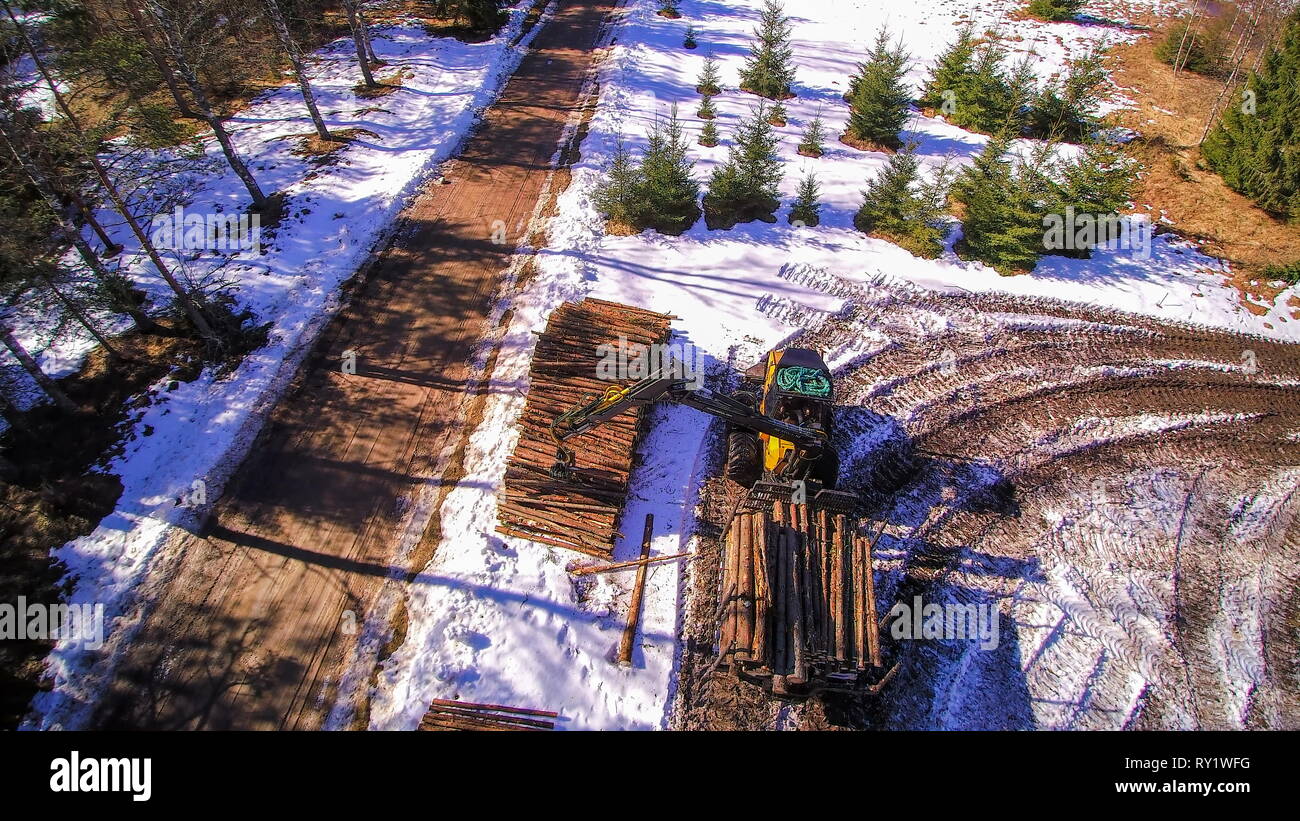 La vista aerea della vasta foresta innevata terra con le pile di tronchi sul terreno essendo afferrata dalla Trincia forestale Foto Stock