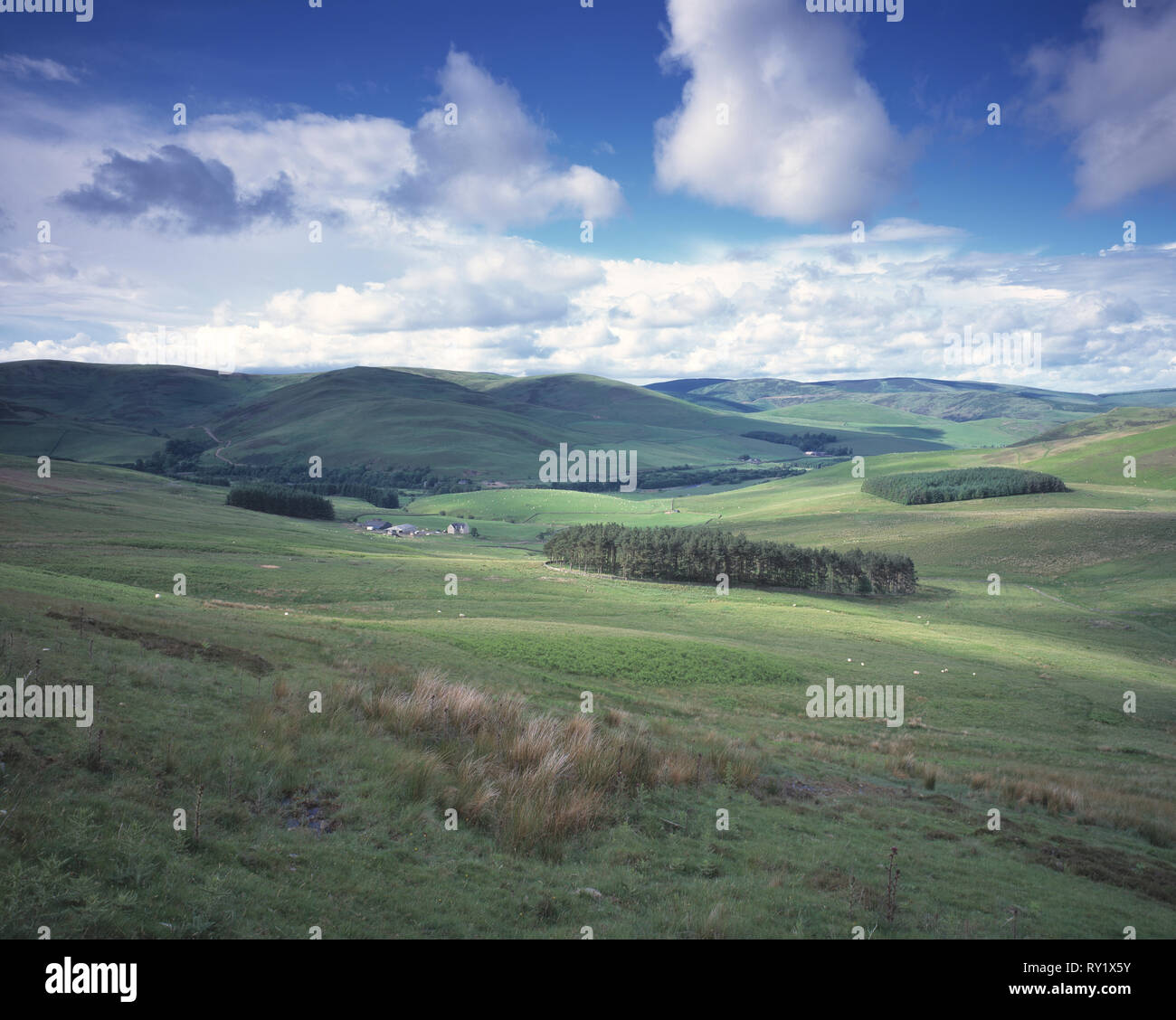 Regno Unito. La Scozia. Scottish Borders. Paesaggio rurale con agriturismo vicino a Galashiels. Foto Stock