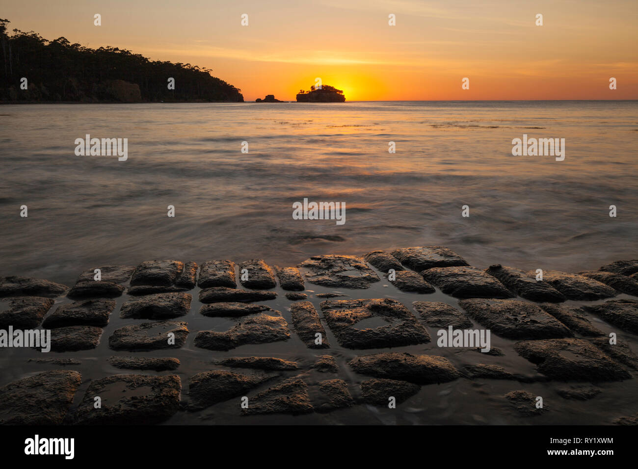 Pavimentazione a mosaico - Forestier penisola - Tasmania Foto Stock