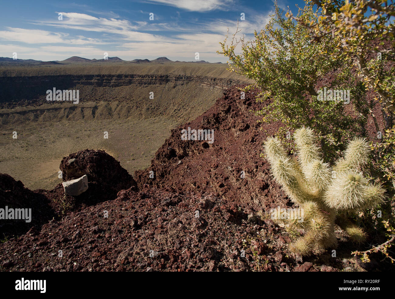 El Pinacate, MPO. Puerto Peñasco, Sonora, Messico Foto Stock