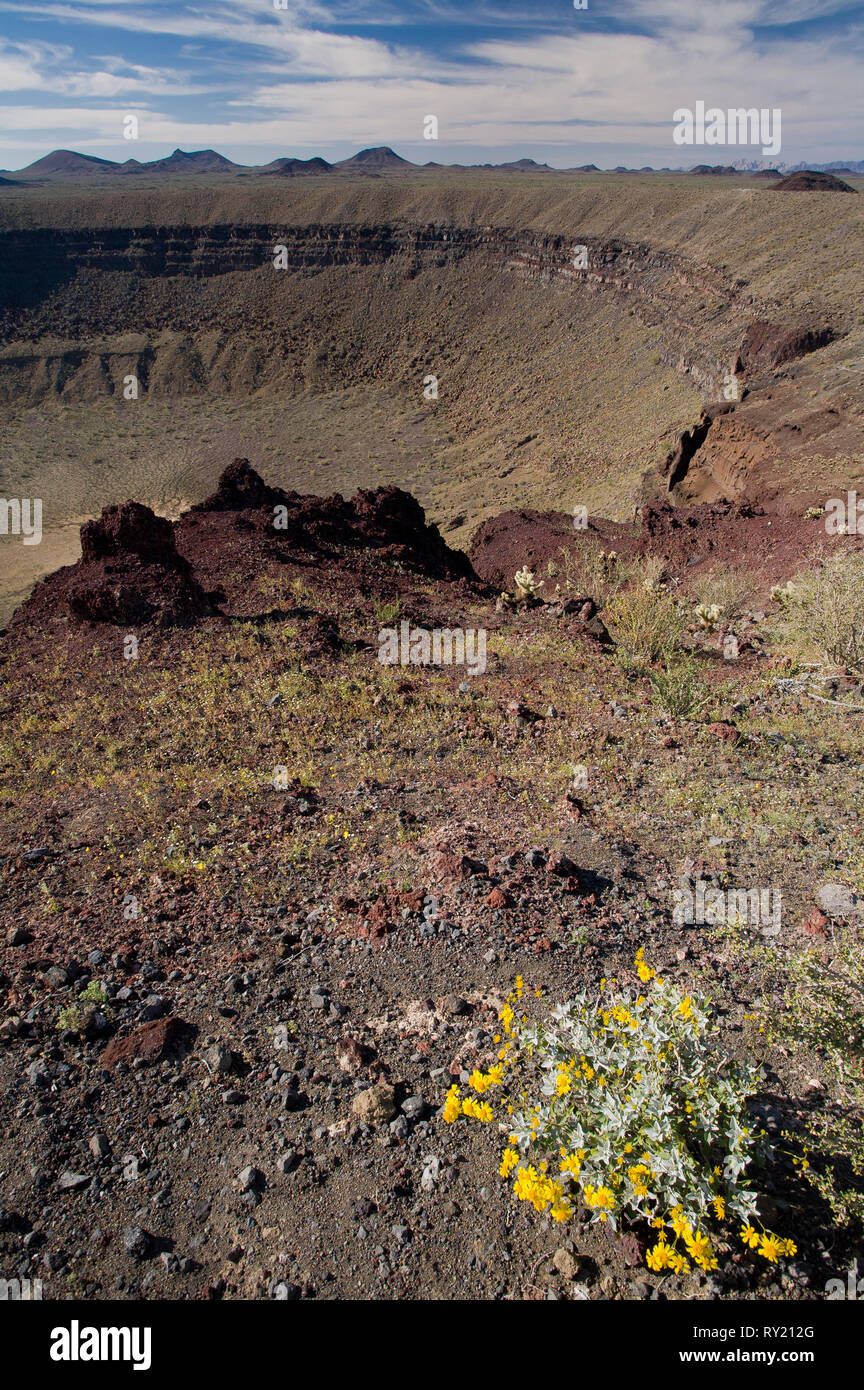 El Pinacate, MPO. Puerto Peñasco, Sonora, Messico Foto Stock