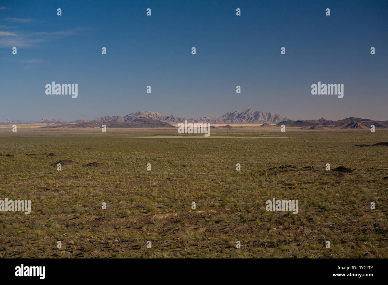 El Pinacate, MPO. Puerto Peñasco, Sonora, Messico Foto Stock