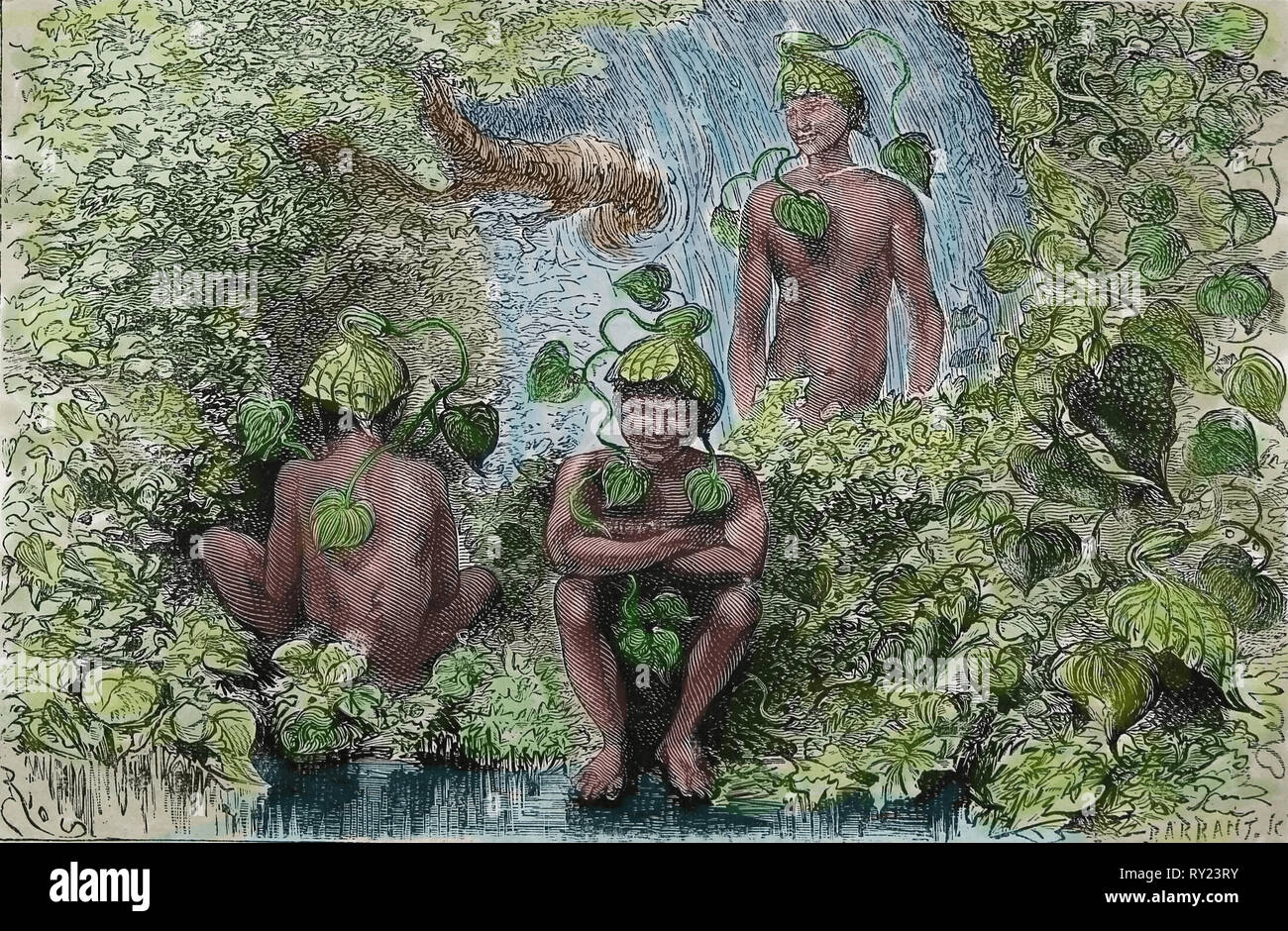 America equonoccial. La Colombia. I copricapo di Aristolochia. incisione del XIX secolo. Foto Stock