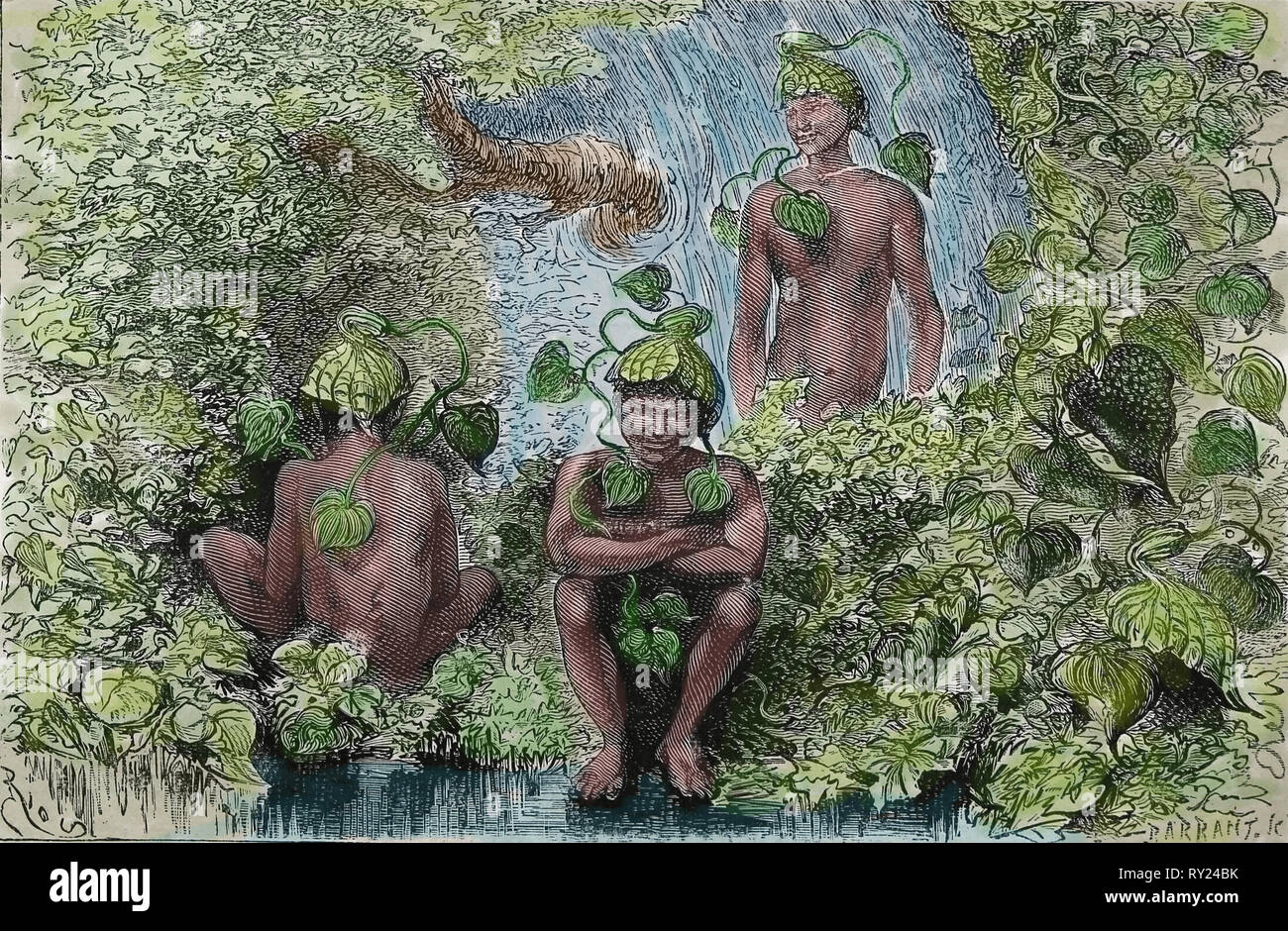 America equonoccial. La Colombia. I copricapo di Aristolochia. incisione del XIX secolo. Foto Stock