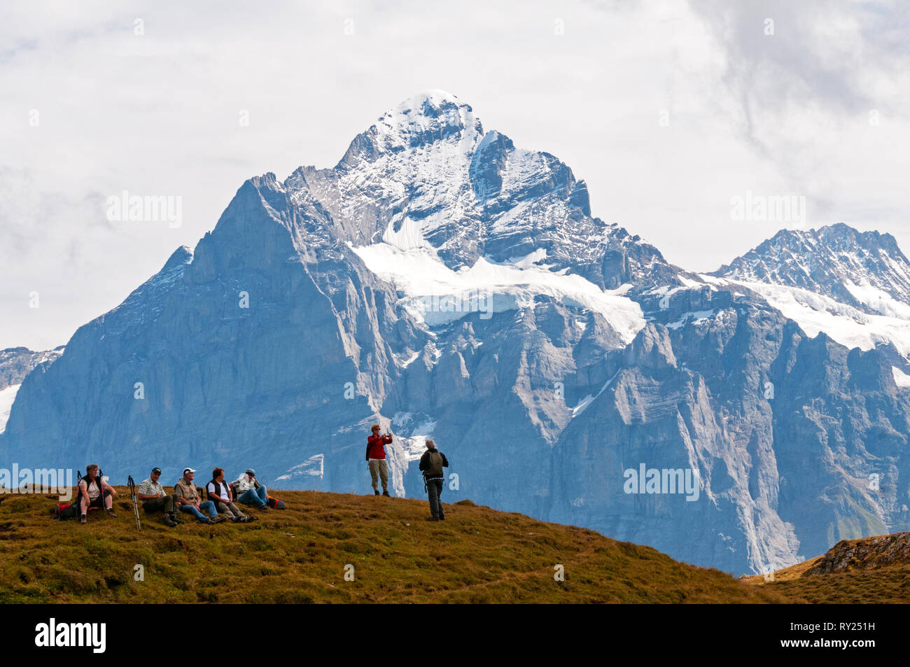 Alpi svizzere intorno a Grindelwald, Svizzera Foto Stock