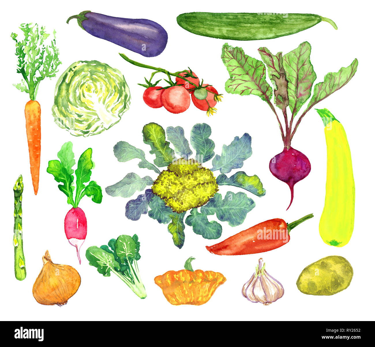 Raccolta di verdure, isolato dipinte a mano illustrazione ad acquerello Foto Stock