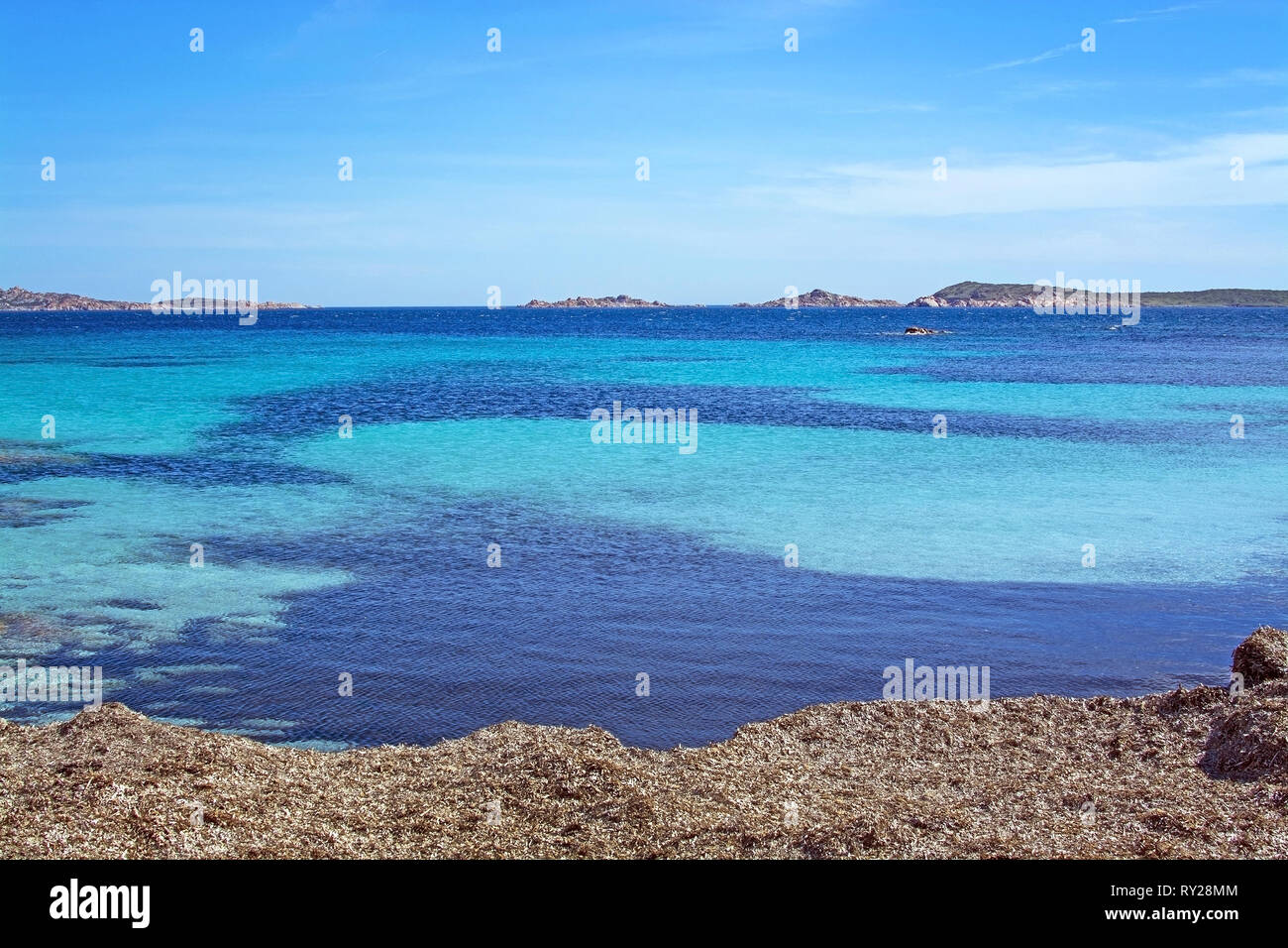 Seascape da praterie spiaggia invernale e il blu e il verde mare in Costa Smeralda, Sardegna, Italia nel mese di marzo. Foto Stock
