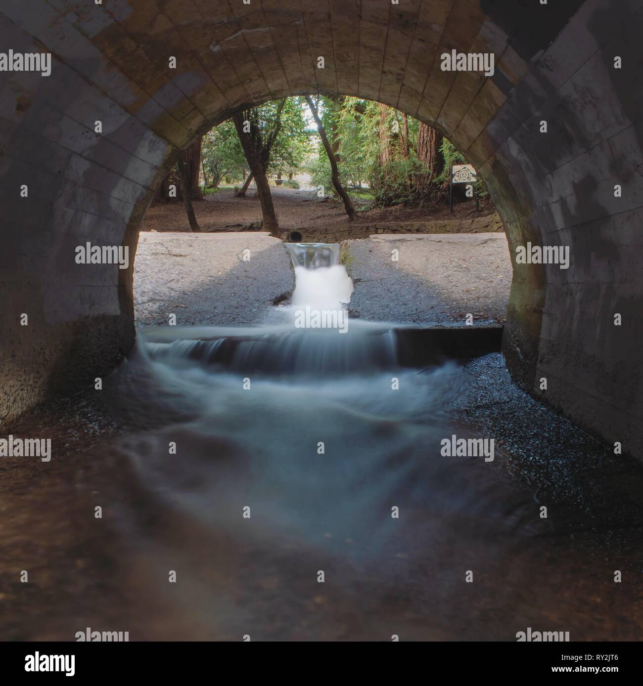 Questa è una foto nitida di un flusso di acqua sotto un inarcamento tunnel. Alla fine di questo ponte è una quantità spropositata di alberi. Foto Stock