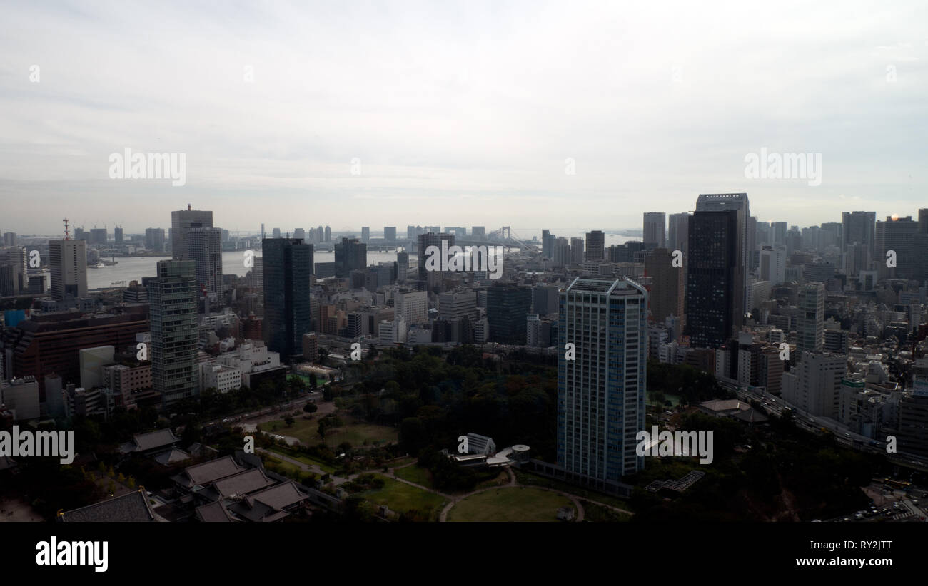 Tokyo, Giappone - 15 Ottobre 2018: vista cielo del centro cittadino di Tokyo presa da Sky view tower. La metropoli di Tokyo si espande all'orizzonte. Foto Stock