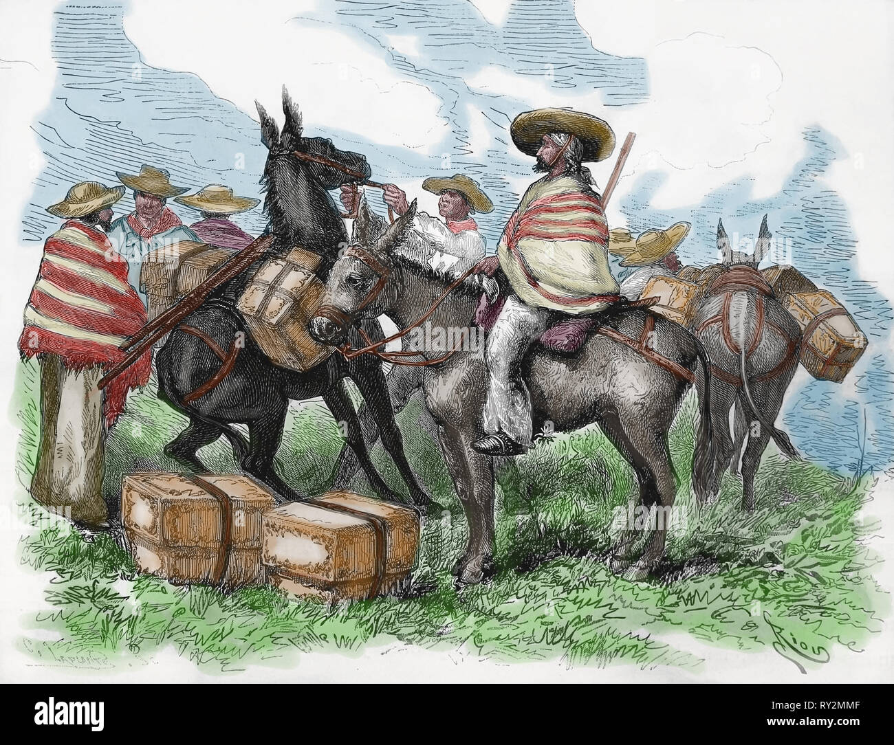 America equonoccial. La Colombia. Strada da Hoda a Bogotà. Incisione del XIX secolo. Foto Stock