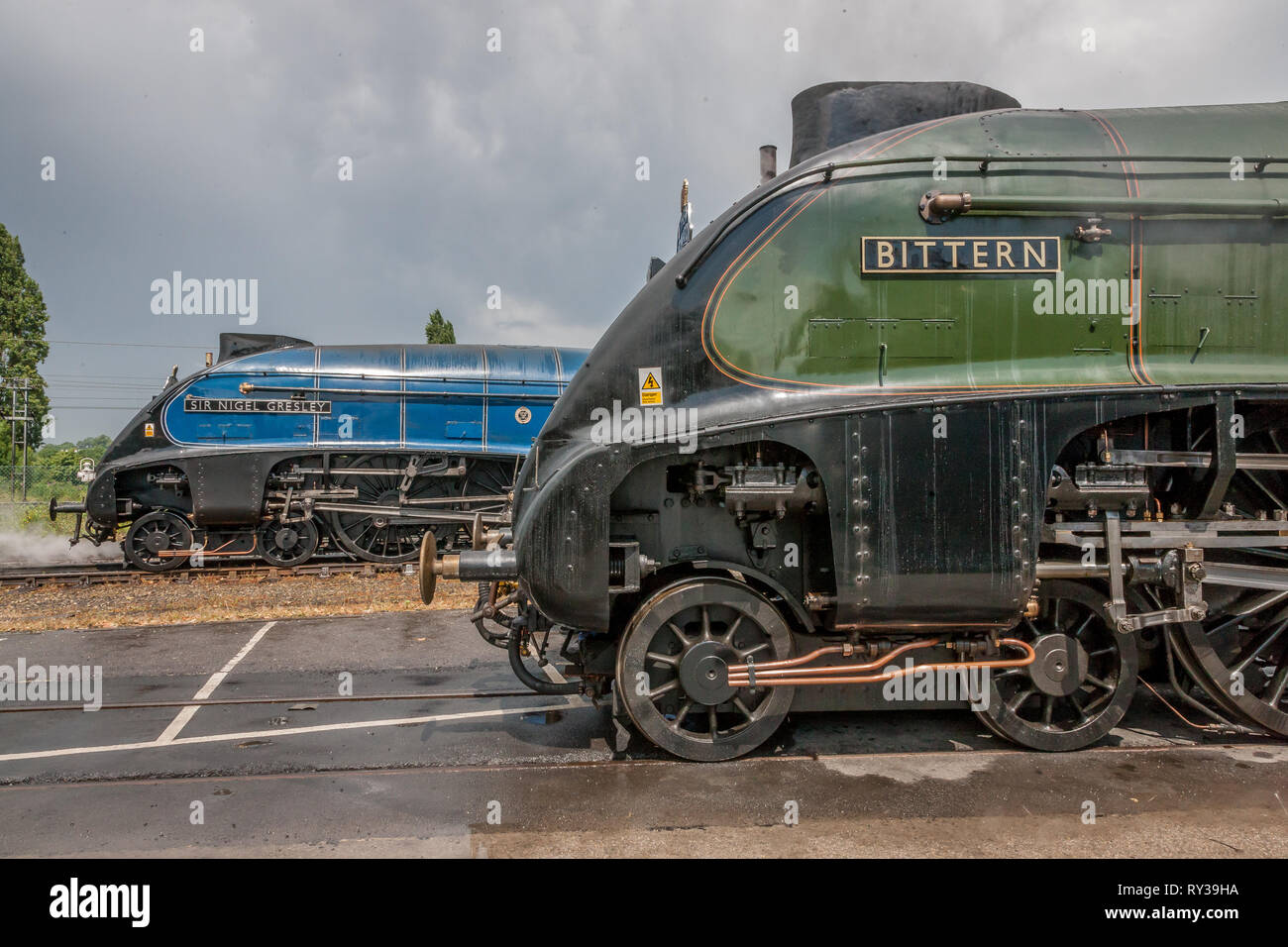 LNER 'A4' 4-6-2 n. 60007 'Sir Nigel Gresley' e n. 60019 tarabuso, NRM, York Foto Stock