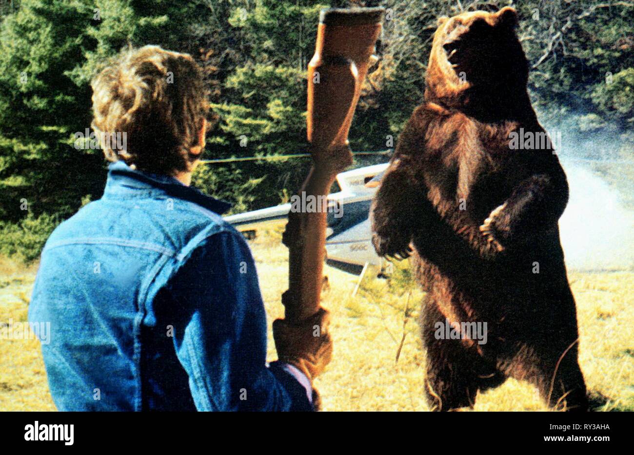 Orso grizzly attacca l'uomo, Grizzly, 1976 Foto Stock