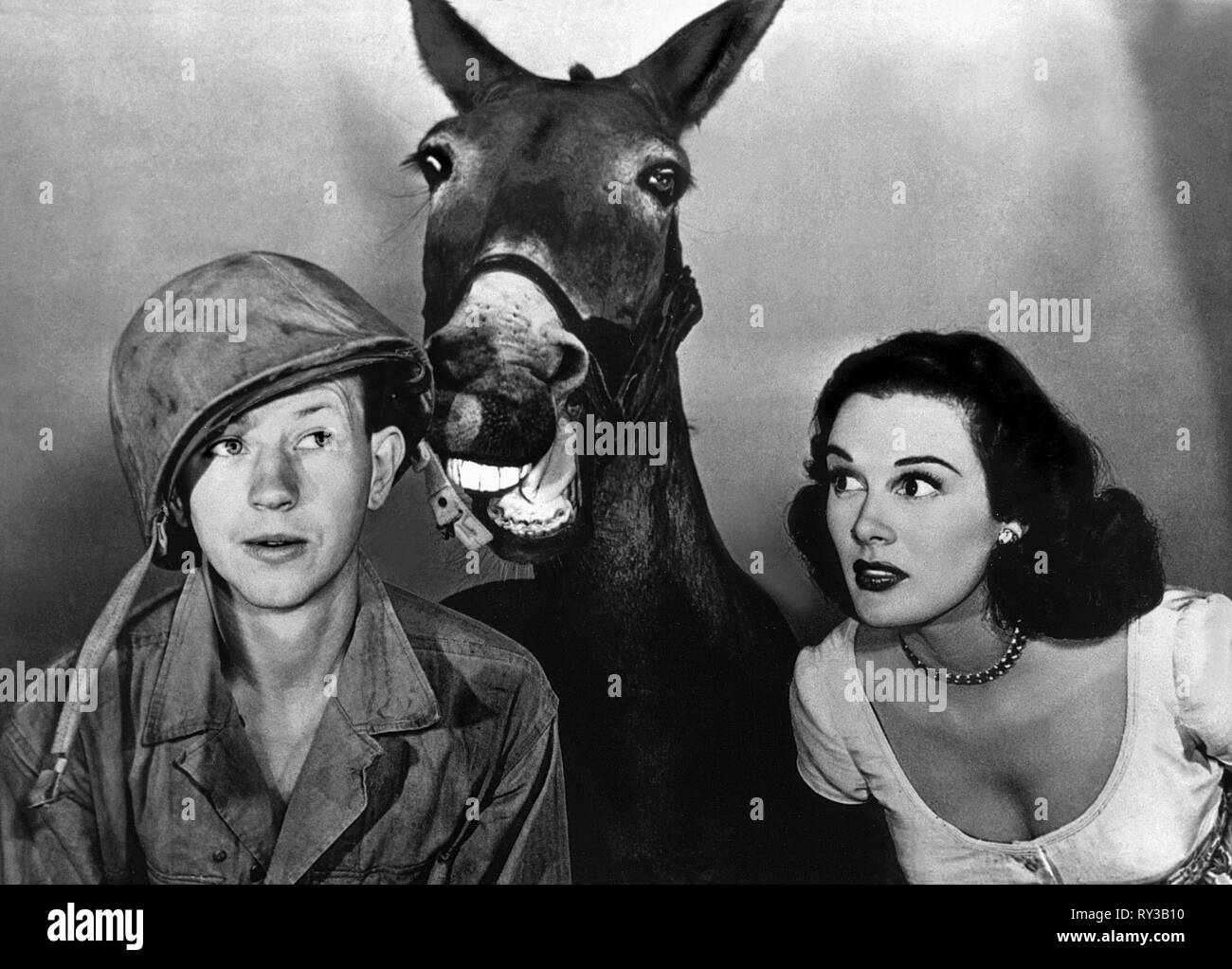 O'Connor,MEDINA, Francesco, 1950 Foto Stock