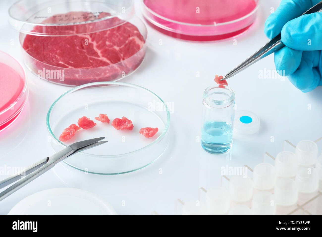 Campione di carne in aperto in plastica usa e getta la coltura cellulare piatto nel moderno laboratorio o stabilimento di produzione. Etichetta scritta sul piatto è stato generato fo Foto Stock